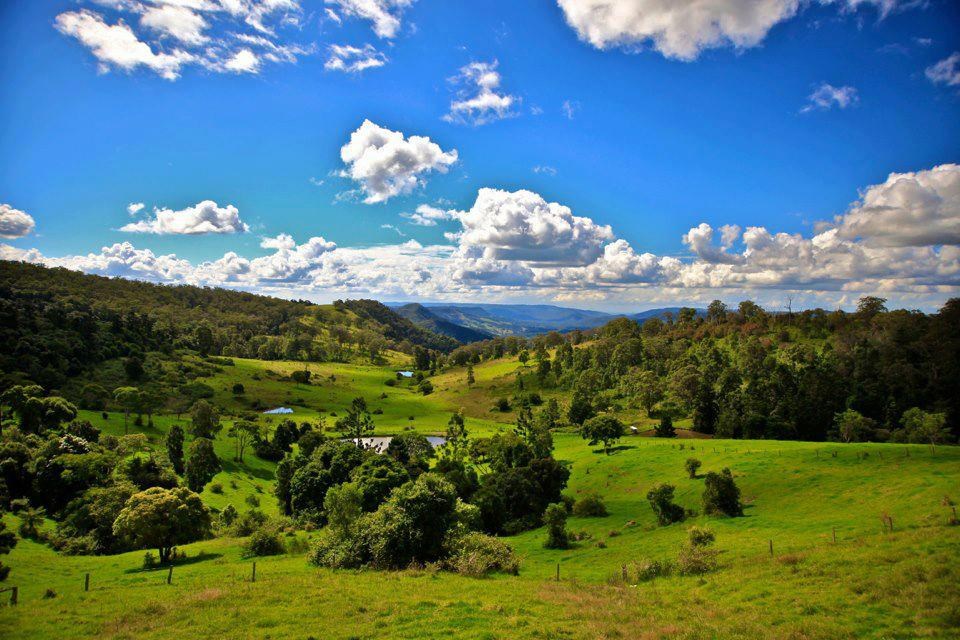 Zelena idila dokle god ti pogled seže