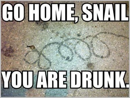 Puž sinoć popio koju čašicu previše...