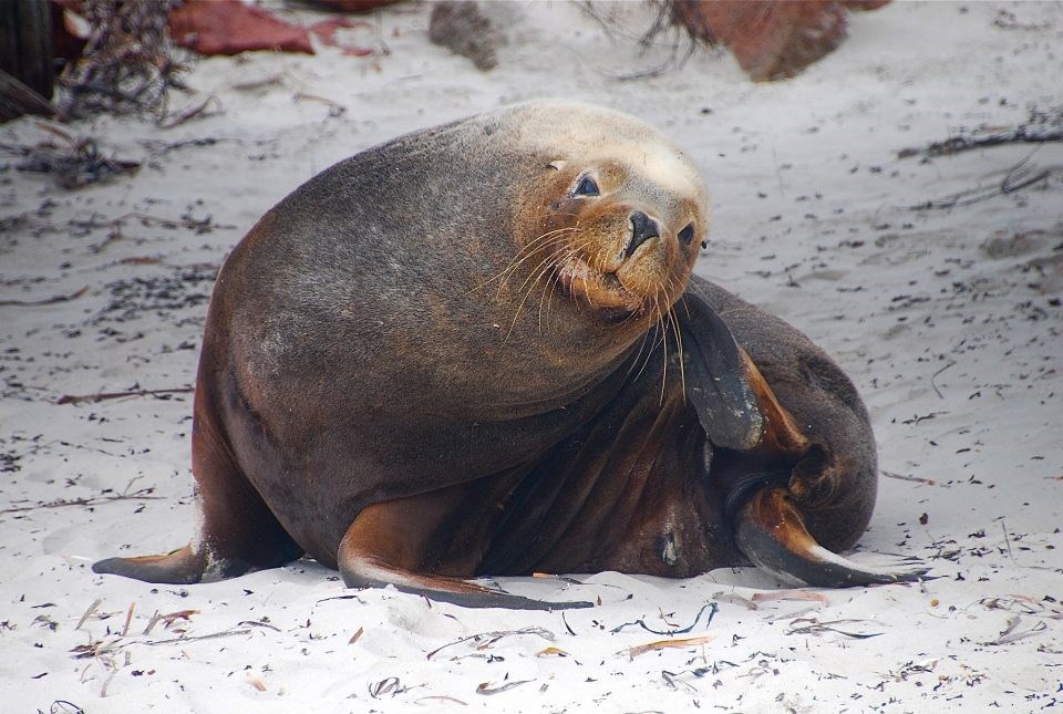 Ljeva, desna, 1, 2, 3... pleši sa mnom i ti!