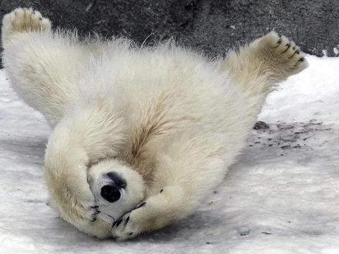 Medo čuo vijesti iz Hrvatske i pao u nesvijest