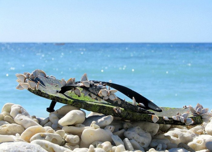 Izgubljena japanka srasla s plažom