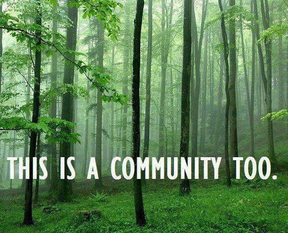 Uništavanje šuma je isto masakr - nad prirodom