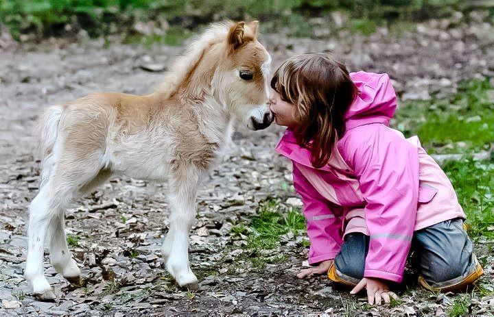 Neizmjerna ljubav curice i njenog konjića