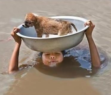 Pravog prijatelja se prepoznaje u nevolji...