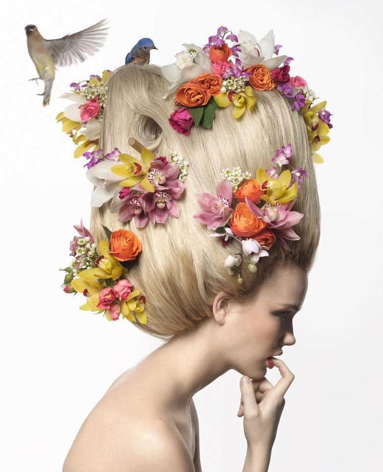 Frizura kao ptičje gnijezdo