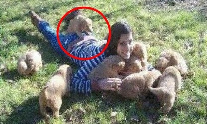 Psić iskoristio priliku i zgrabio je za guzicu