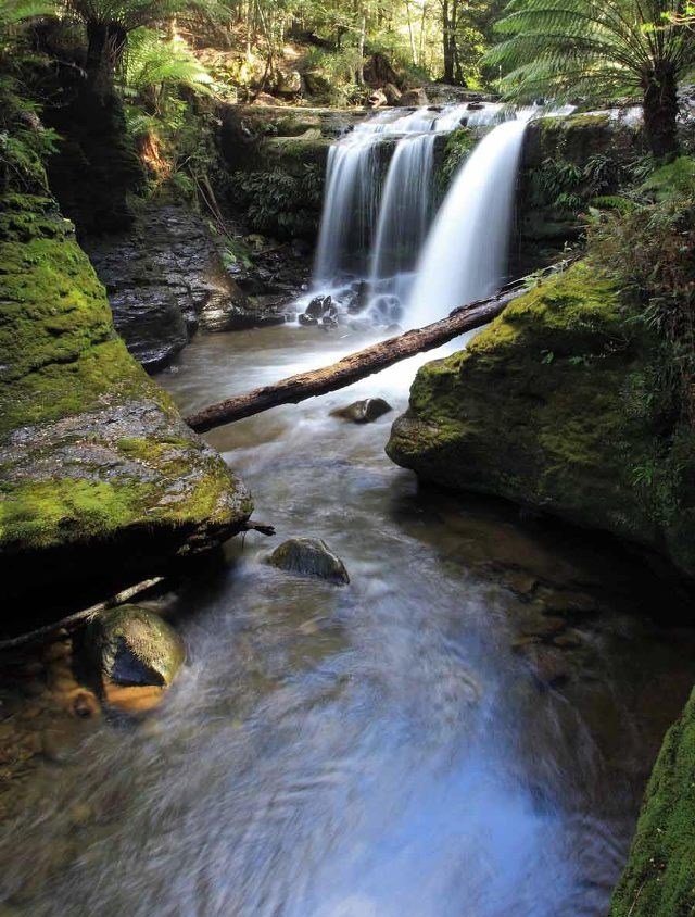 Čarobna zelena oaza sa slapovima