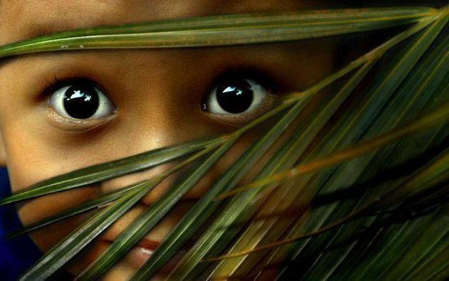 Oči su ogledalo duše