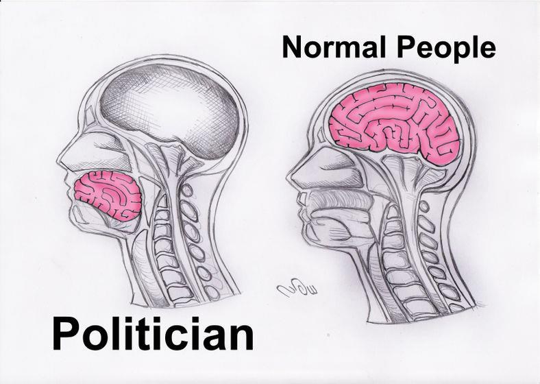 Ne mogu svi biti političari