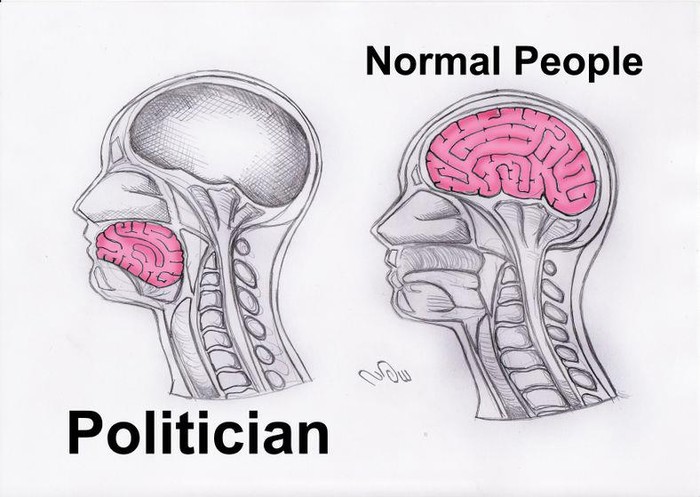 Ne mogu svi biti političari