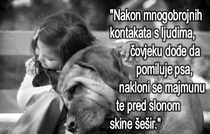 Ljudi - stoka najveća