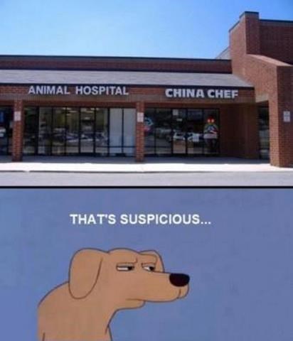 Kineski restač kraj veterinara - psi i mace, čuvajte se!