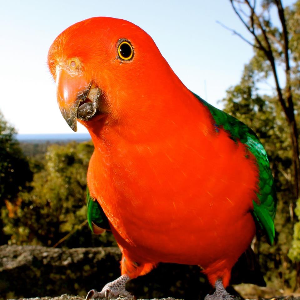 Fotkaj iz ovog profila, ljepša sam si s te strane danas