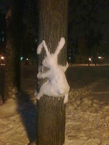 Snježni zeko zaskočio stablo