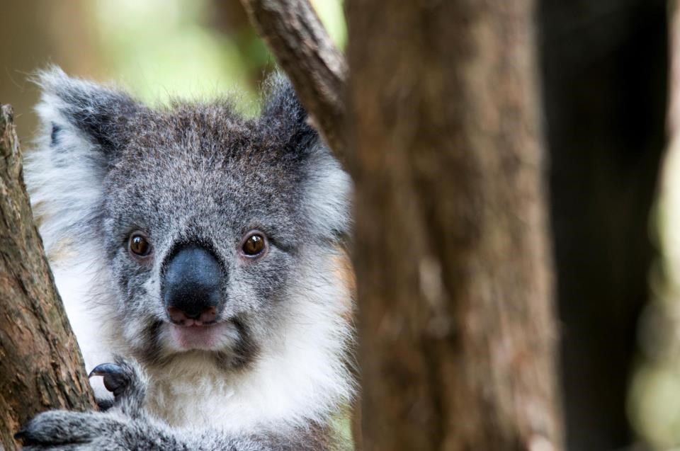 Jel ti to mene opet špijuniraš stalkeru?!