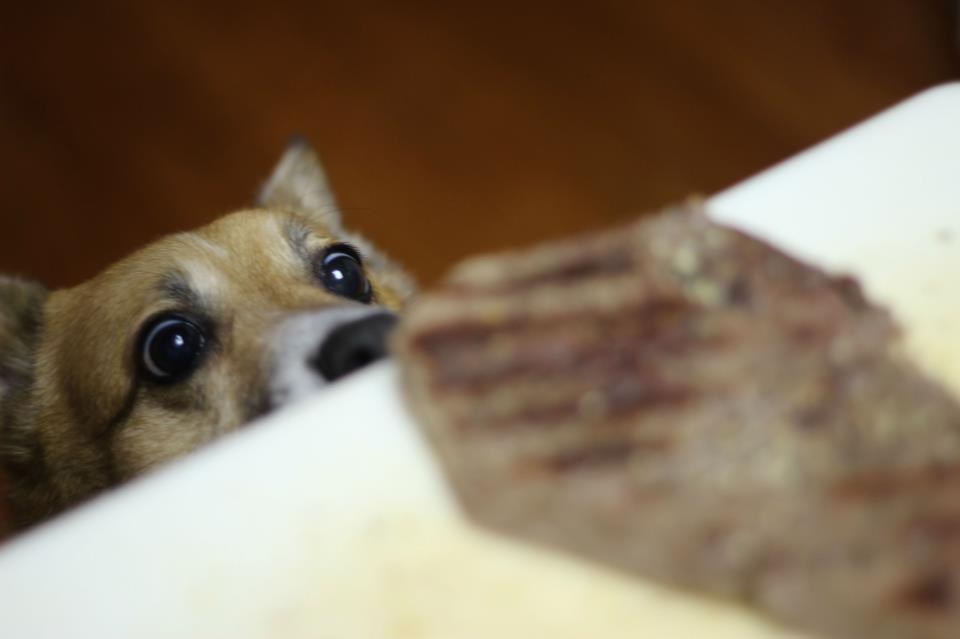 Moj, moj, moj... sad ćeš biti moj odrezak!