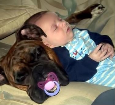 Nakon ručka je najbolje malo odrijemati...