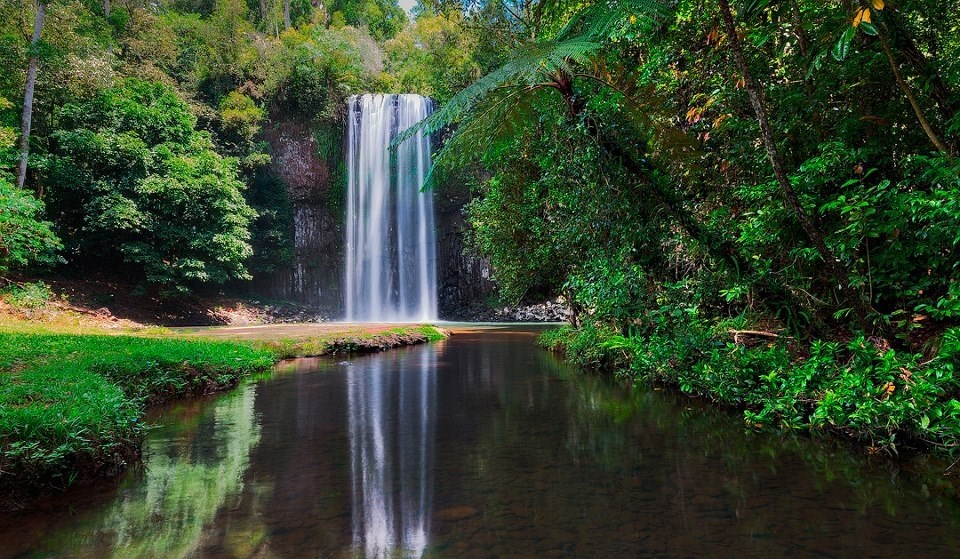 Millaa Millaa slapovi, Australija