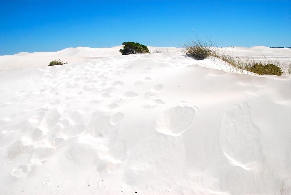 Raj za bordere na pijesku