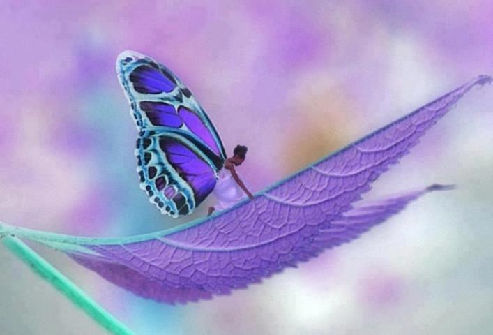 Ljubičasta bajka...