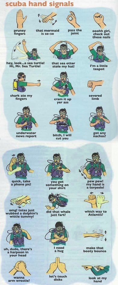 Ronilački signali - napredni tečaj ;)