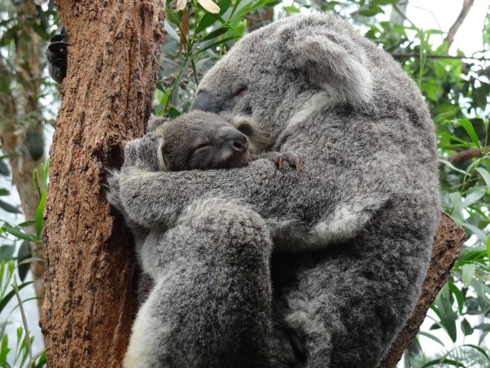 Mamin zagrljaj uvijek najviše znači