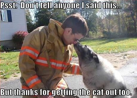 Znaš li čuvati tajnu? :)