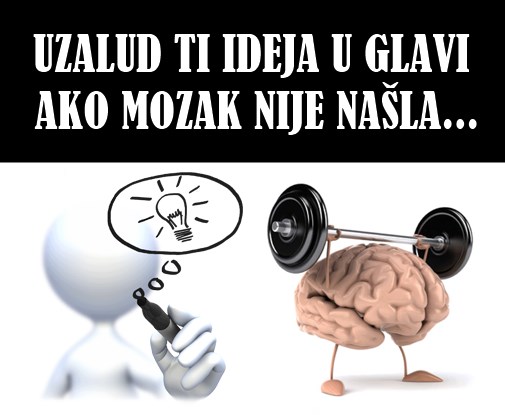 Nekima daš serviranu ideju, al badava kad luta po šupljini