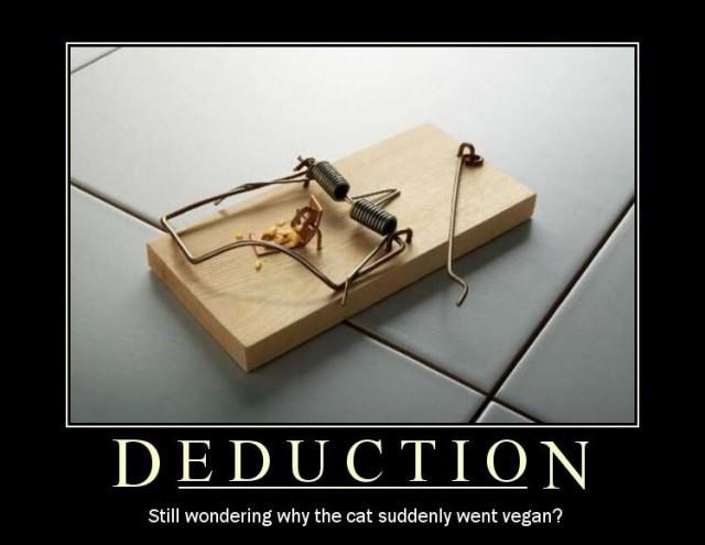 Mačka ti naglo postala vegetarijanka? Čuvaj se kungfu miša!