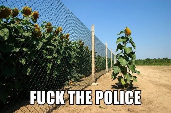 On jednostavno voli prkositi zakonu i redu