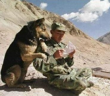 Najbolji prijatelj tu je da s tobom dijeli i tugu i radost