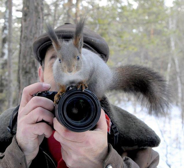 Ček, sad ti ja pokažem kak se fotka, malo zumiraaaaš...