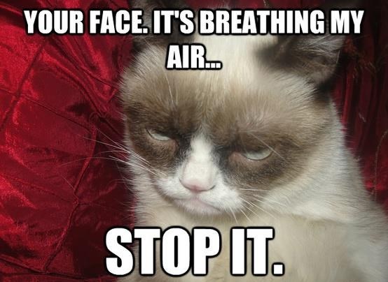 Mrzovoljnom mačku muka od spoznaje tko sve troši kisik