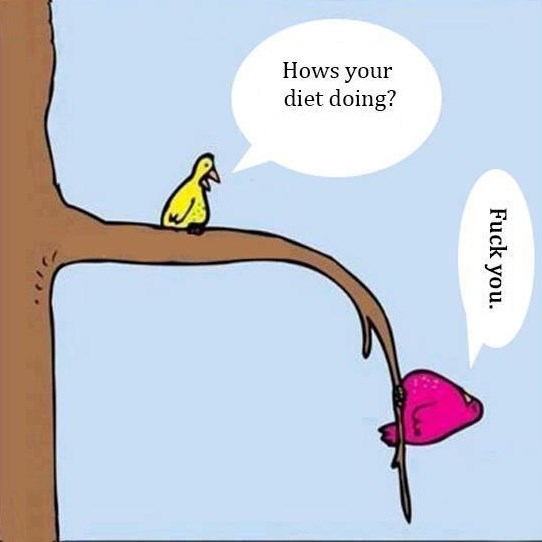 Jesi i ti na dijeti?