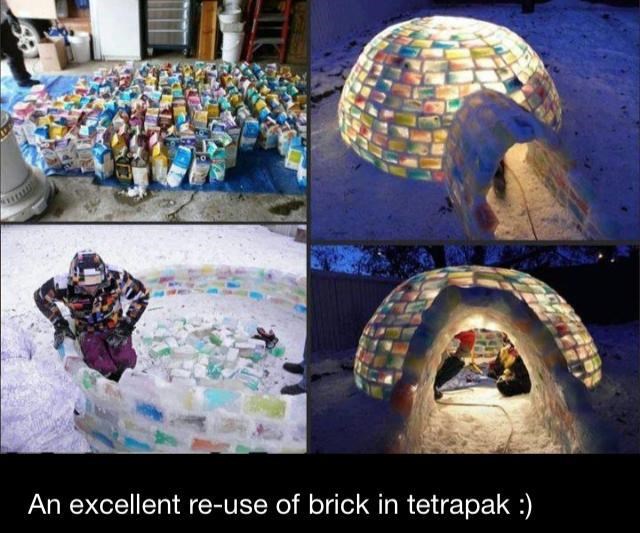 Šareni iglu od tetrapaka