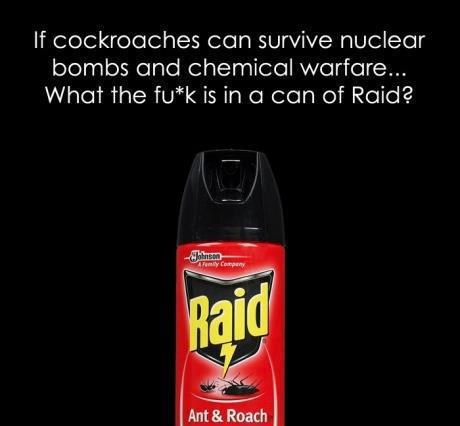 Žohari prežive radioaktivnost, ali ne i ovo...