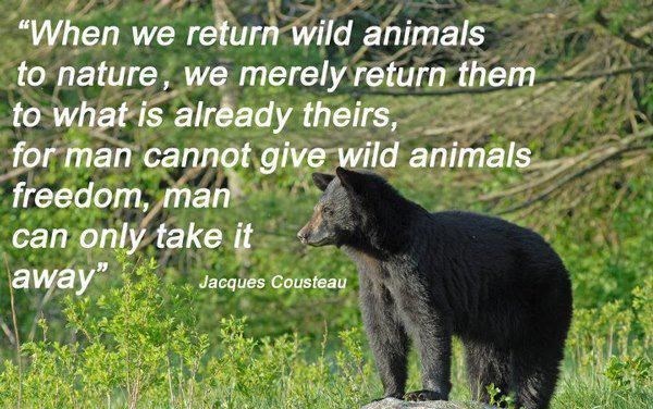 Čovjek životinjama ne može dati slobodu, samo je može uzeti