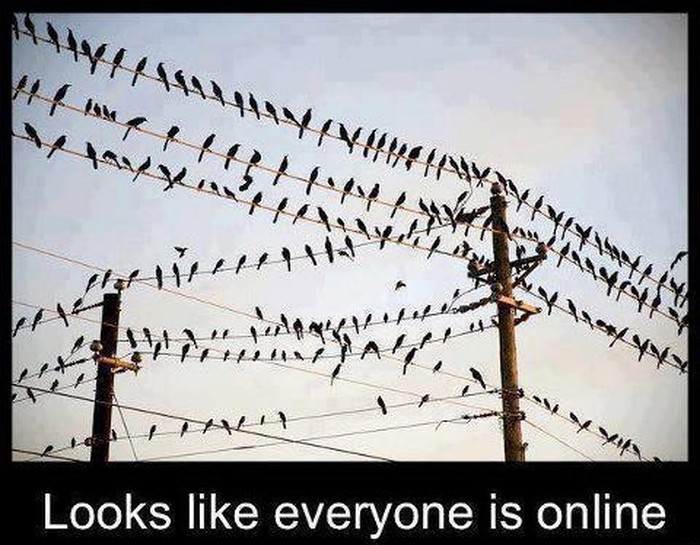 Svi su online :)