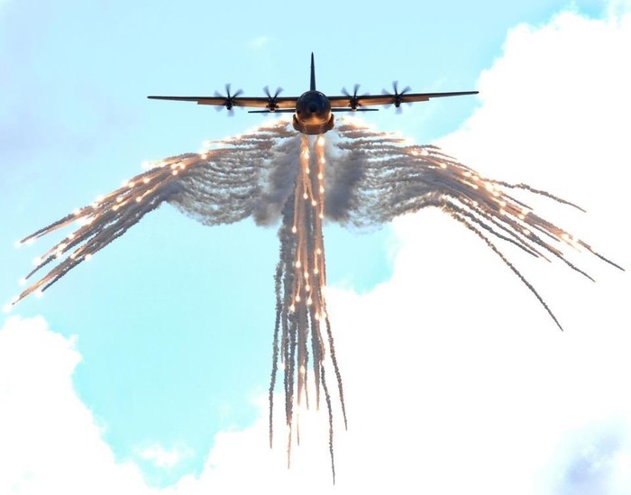 Dokaz da su avioni nebeske ptice