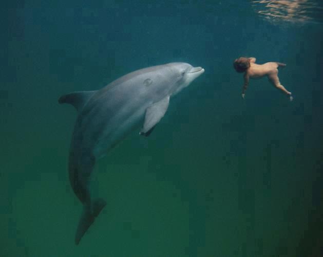 Da je meni ovakva fotka iz djetinjstva: Plivanje s dupinom