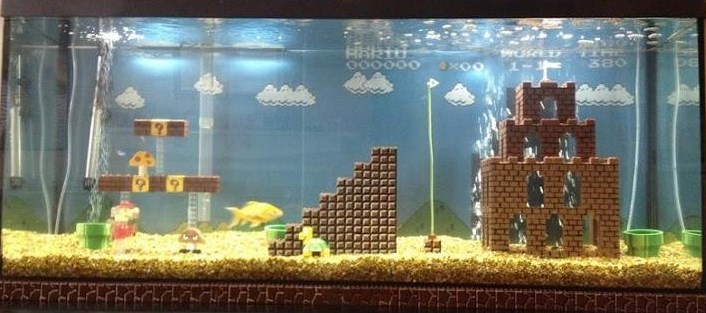 "Super Mario" akvarij :)