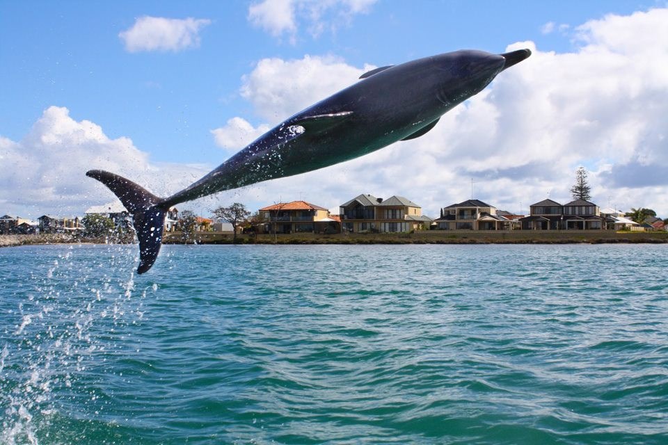 Dupin se lansirao iz mora