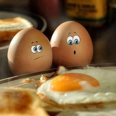 Jaja shvatila kakva ih crna sudbina čeka...