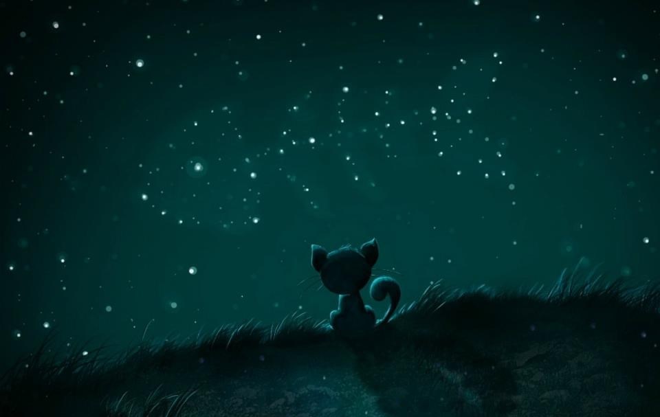 Nikad ne odustaj od svojih snova...