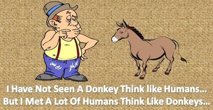 Nisu magarci krivi što su ljudi glupi