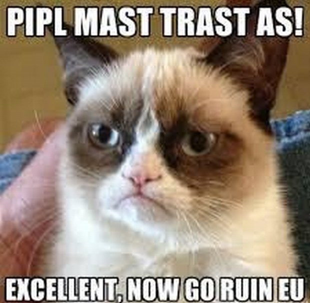 Ingrid oduševila mrzovoljnog mačka