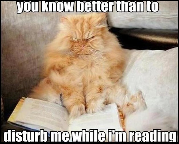Ne diraj mačka dok čita ako ti je život mio!