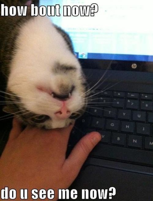 Alo, gazda, pusti to! Ja sam tu, treba me netko češkati!