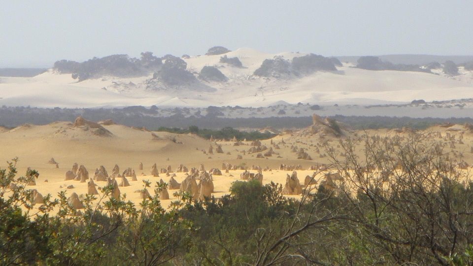 Pustinja Pinnacles, Australija - šuma stijena u pijesku