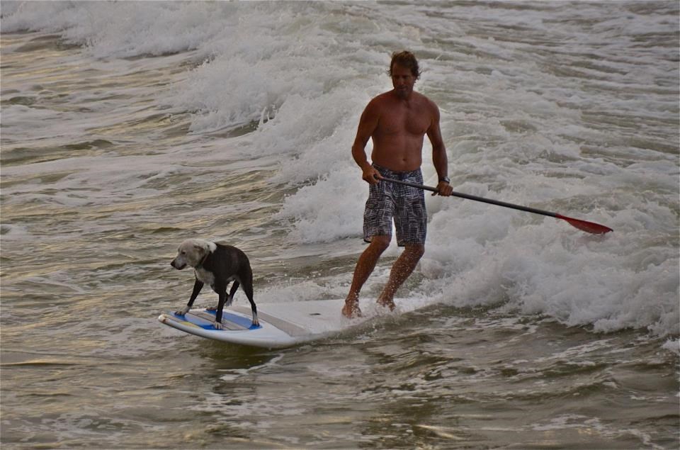 Gazda, veslaj ti to malo brže, na večeru kasnim!